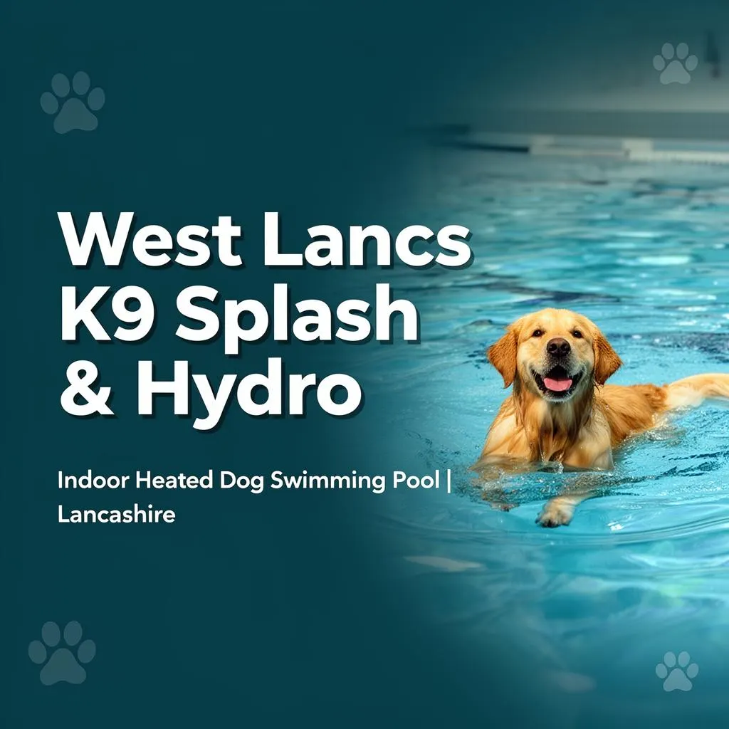 West Lancs K9 Splash & Hydro