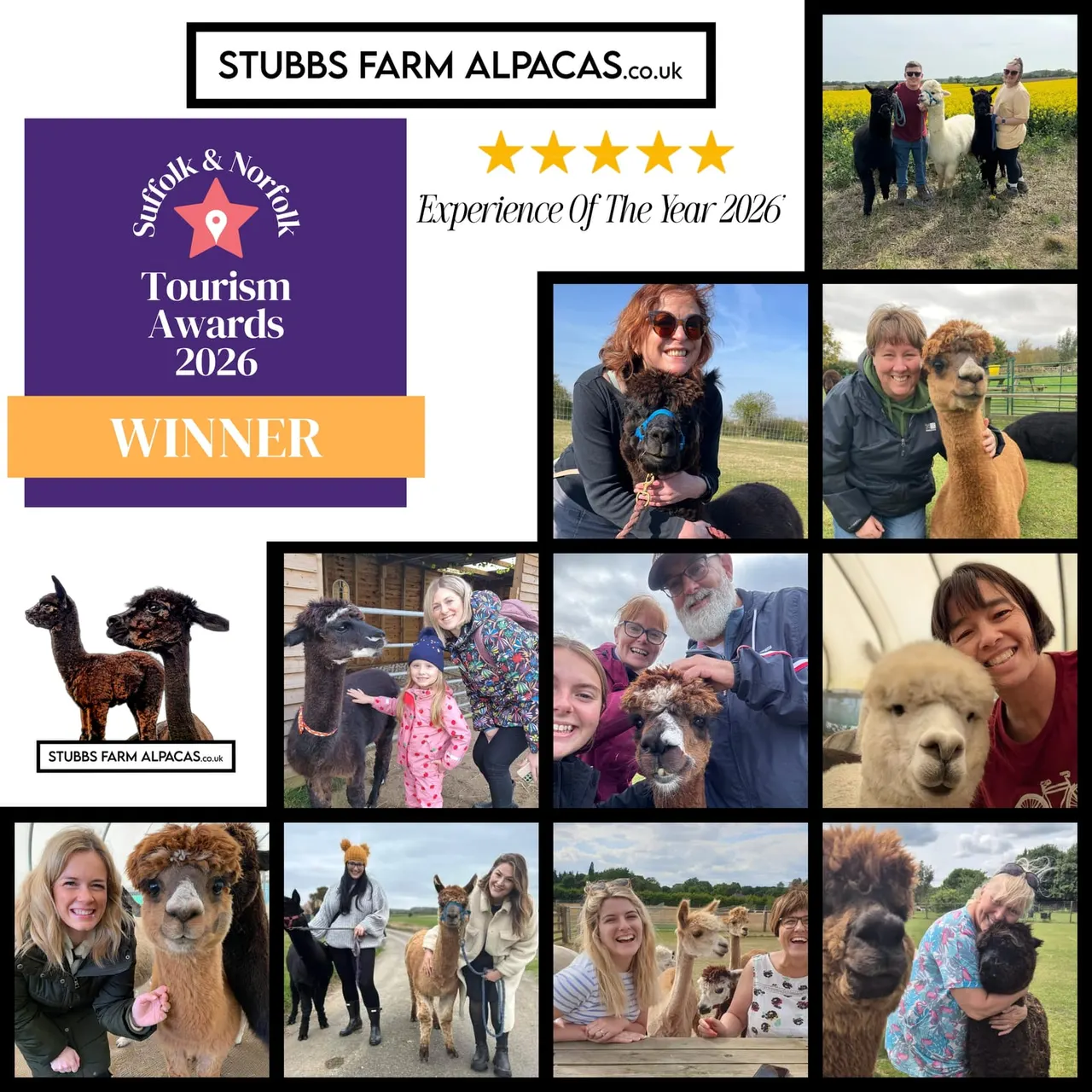 Stubbs Farm Alpacas