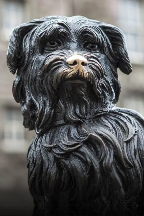 Close-up of a black metal dog statue with a gold nose and detailed facial features.