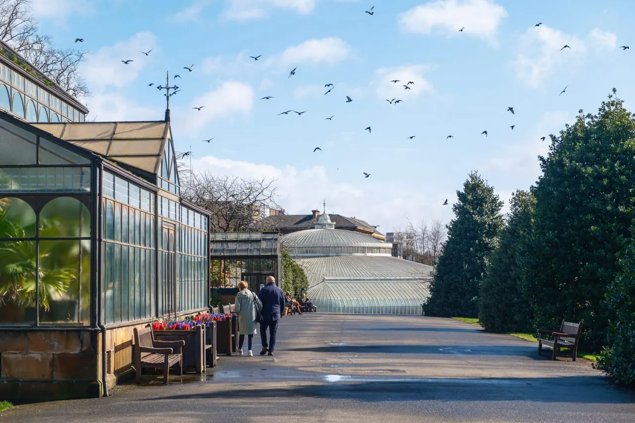 Visitors walking through the grounds of a Victorian glasshouse with ornate domed greenhouses and birds flying overhead.