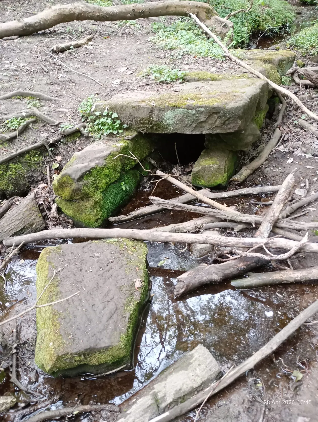 Moss-covered stone structures and fallen branches alongside a woodland stream.