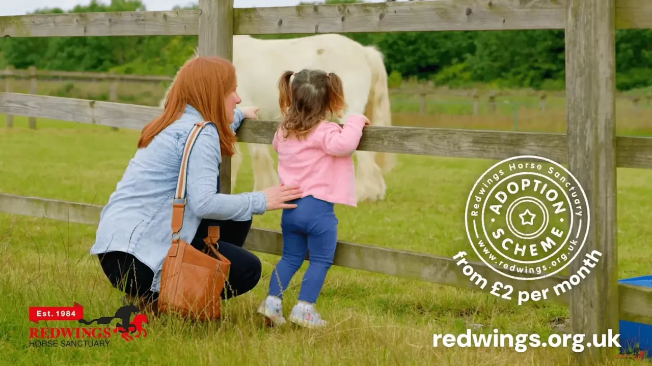 Woman and young child petting a cream-coloured horse over a wooden fence in a green field.