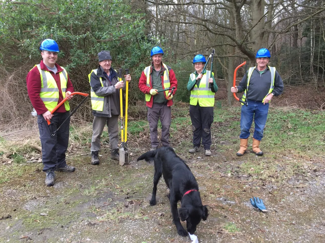 Five volunteers wearing hard hats and high-visibility vests hold tools whilst a black dog walks past on a woodland path.
