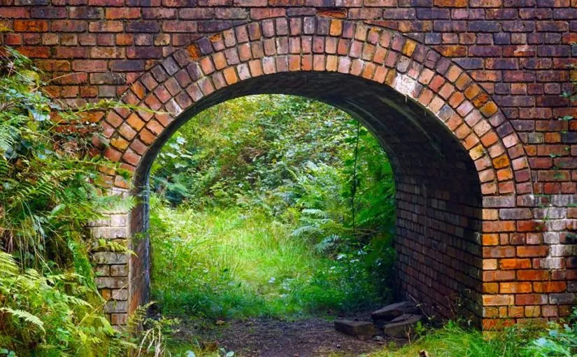 Woodland & Forest in Cardiff