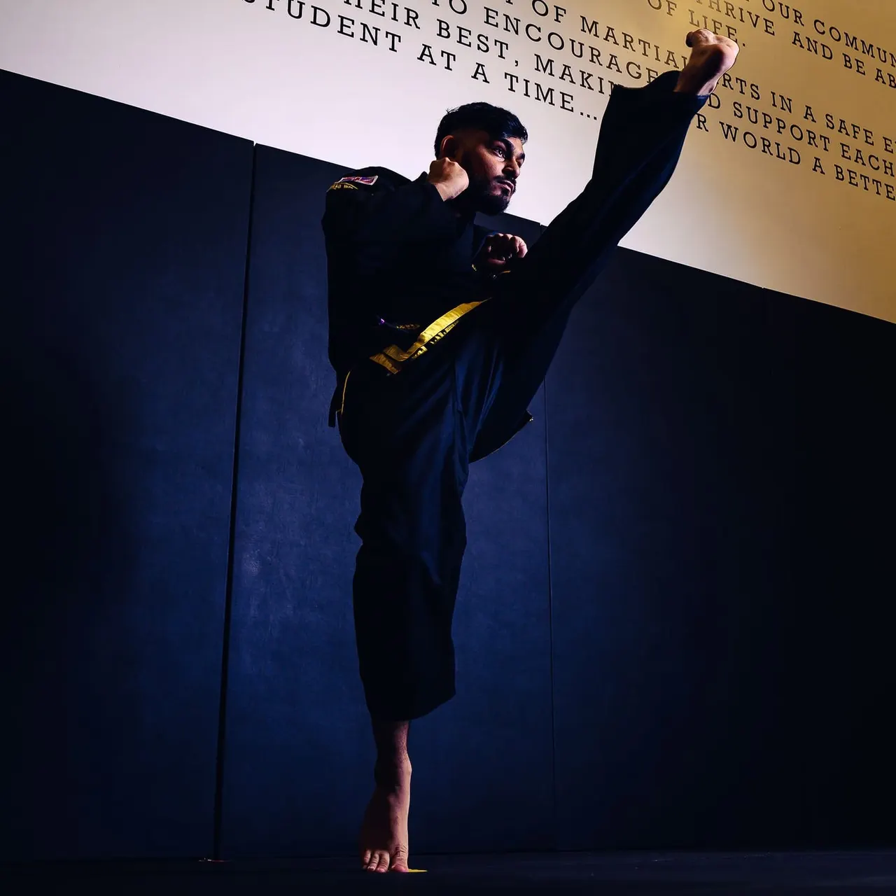 Musa Martial Arts (Northwood)