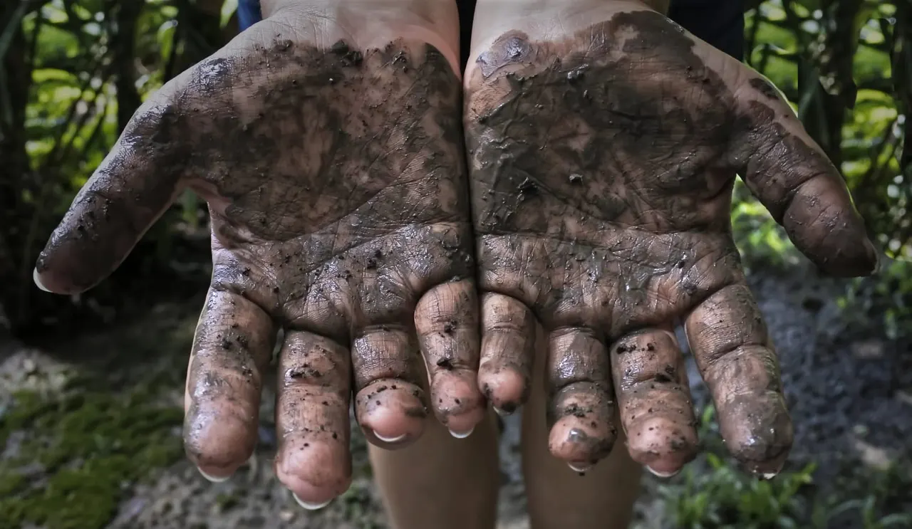 Person's muddy hands and arms held open outdoors with green foliage in background.