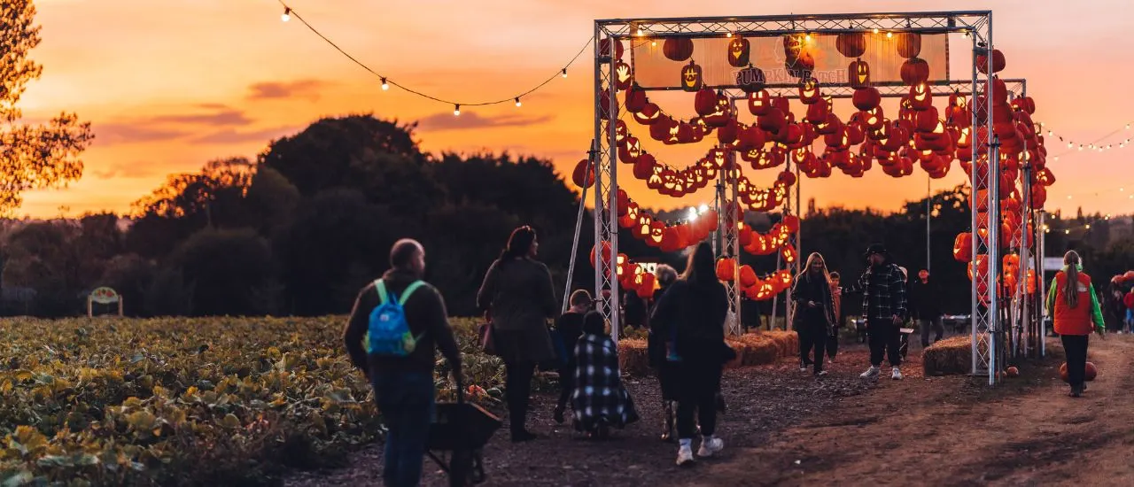 Visitors walk through a pumpkin patch at sunset, passing under a decorated archway hung with red pumpkins and lanterns.