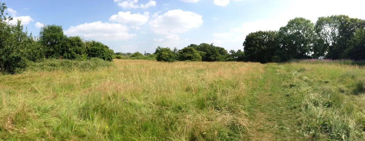 Open grassland with scattered trees under a blue sky with white clouds.