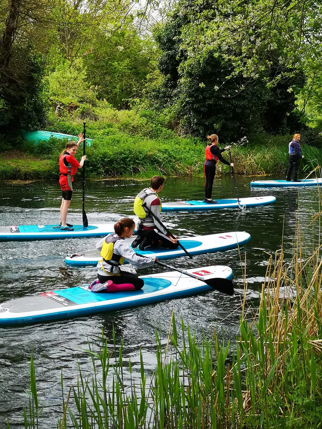 Children and adults paddleboarding on a river surrounded by lush green vegetation and reeds.