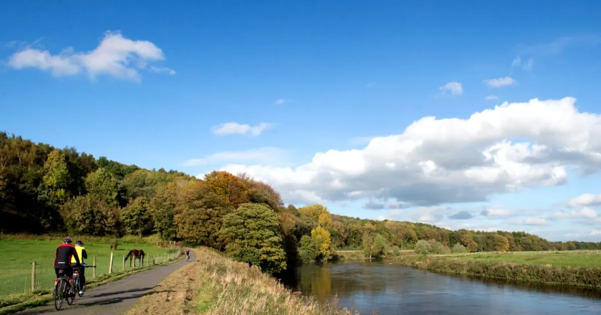 Cyclist in high-visibility gear riding along a riverside path with grazing horses and woodland trees under a blue sky.