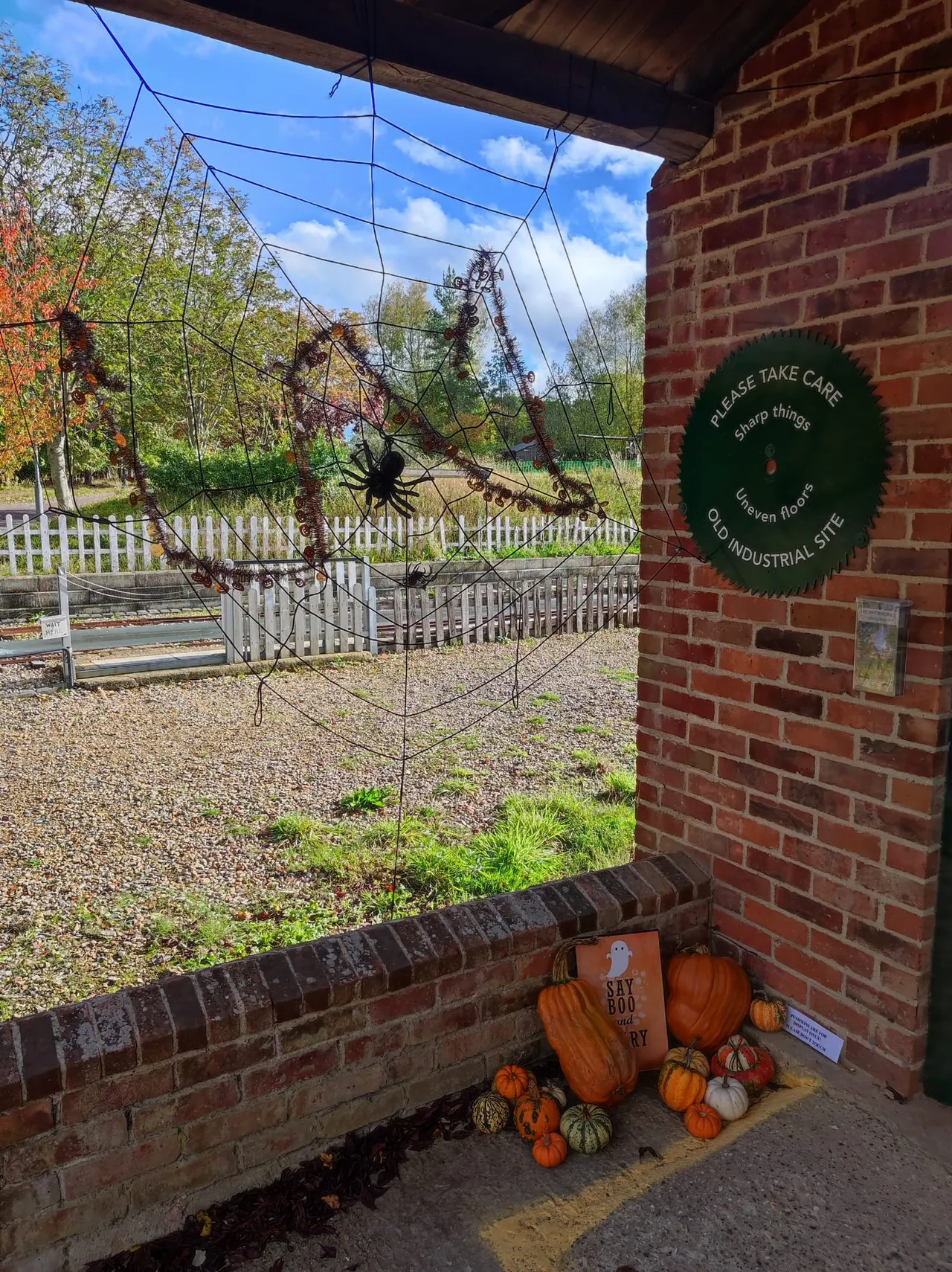 View from a brick building through a window with Halloween decoration, showing pumpkins, a spider web prop, and an autumn-dressed paddock beyond.