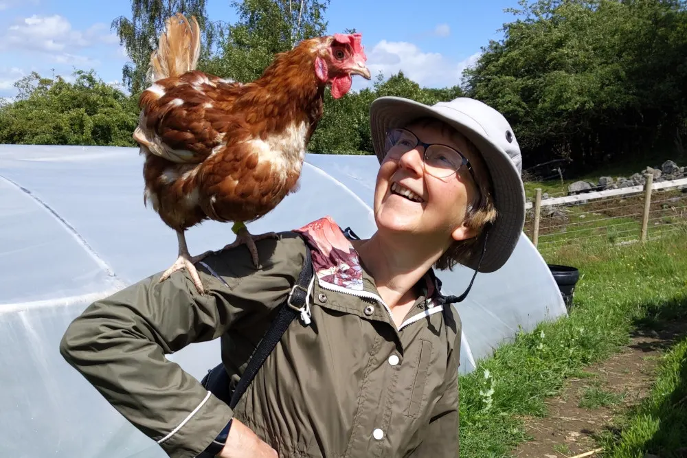 Smiling person holding a brown and white chicken on their shoulder at a sunny farm.
