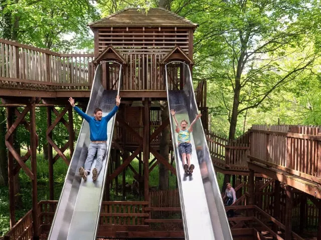 Children sliding down twin slides from a tall wooden tower structure surrounded by trees.