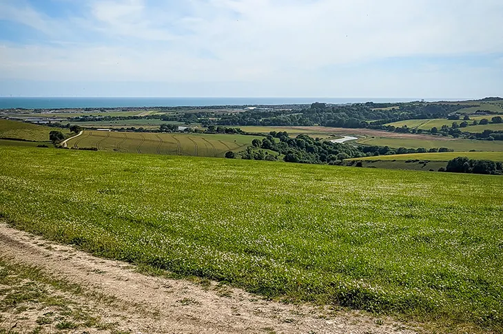 Rolling green farmland with cultivated fields, tree clusters, and distant sea visible under blue sky.