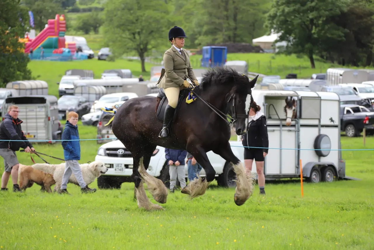 Rider in formal equestrian attire on black horse jumping over fence at outdoor show with spectators and trailers nearby.