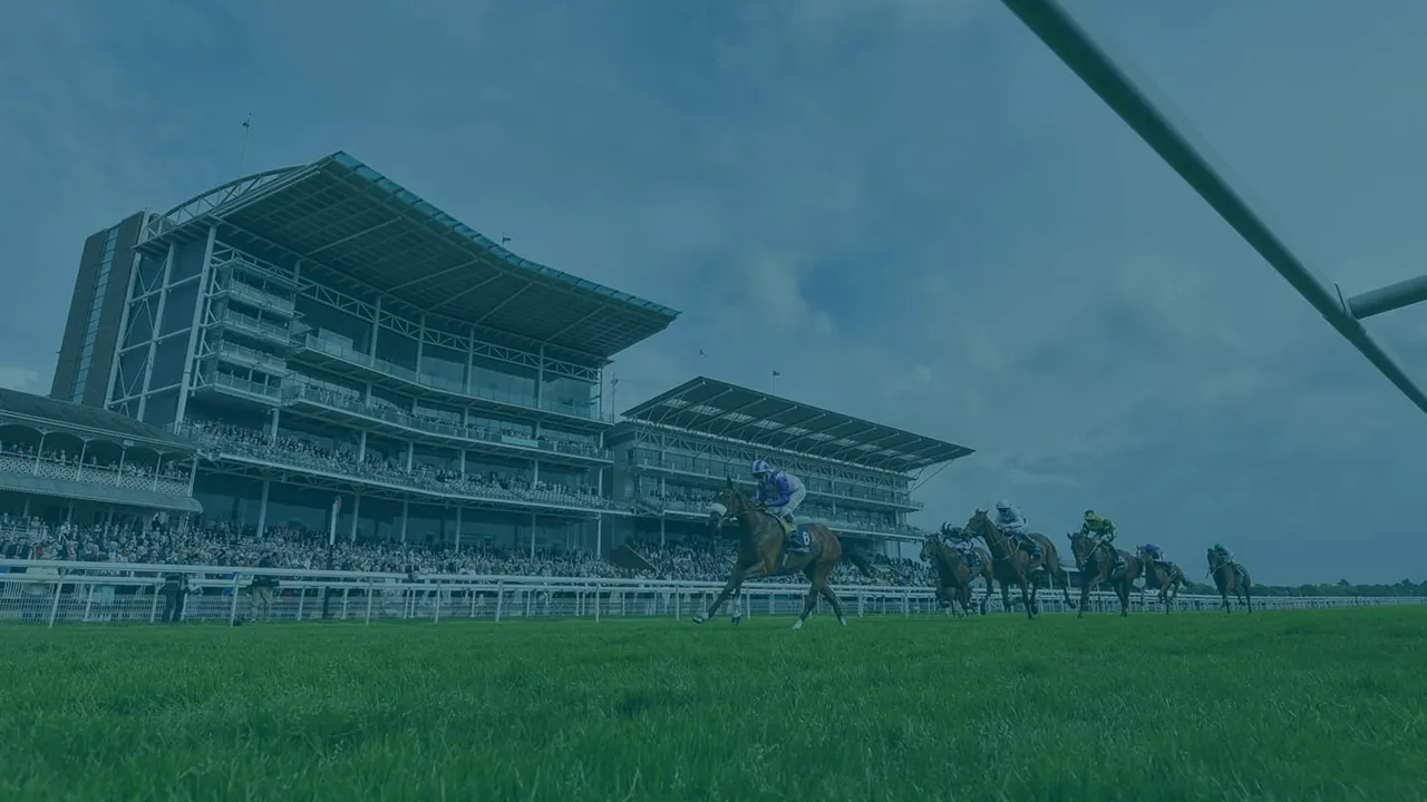 York Racecourse