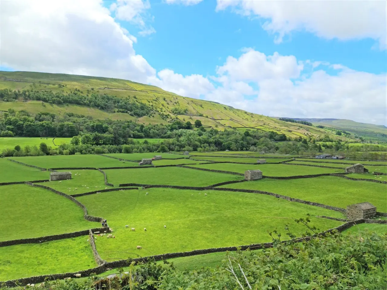 Grand Yorkshire - Day Trips and Tours