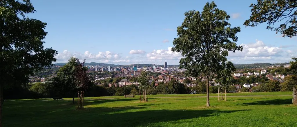 Open green parkland with scattered trees overlooking a city skyline in the distance under blue sky.