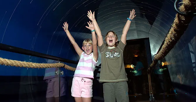Two children with arms raised celebrating inside an indoor adventure activity centre with ropes and climbing elements visible overhead.