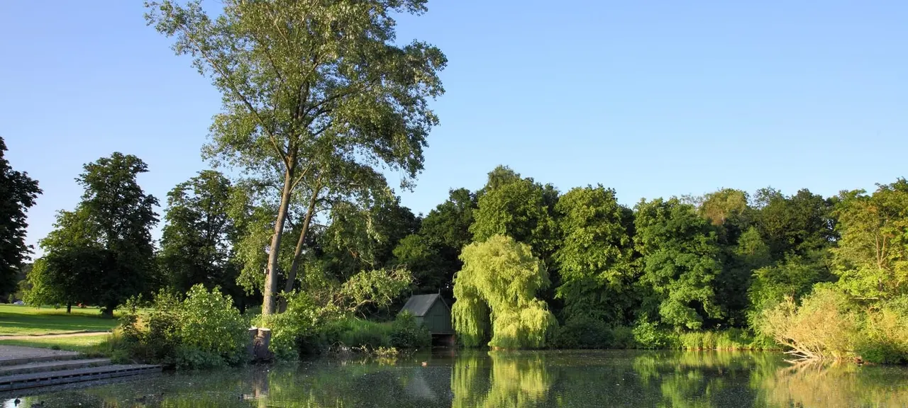 Peaceful lake surrounded by mature trees and parkland under clear sky.