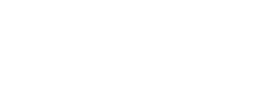 This image appears to be entirely blank or white with no discernible content visible. I cannot identify any photograph or graphic to describe.