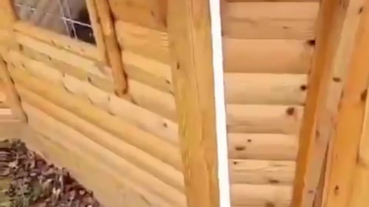 Interior of a wooden cabin or lodge with log walls and ceiling beams.