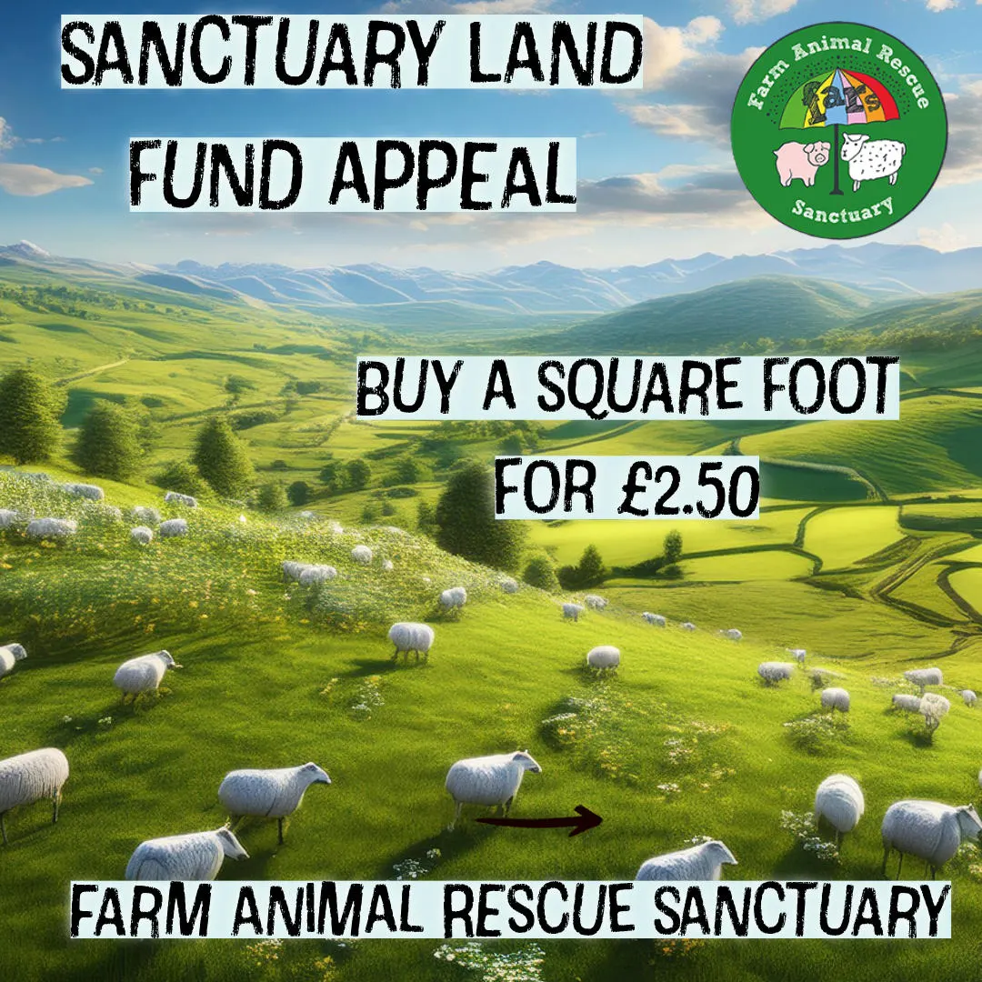 Farm Animal Rescue Sanctuary