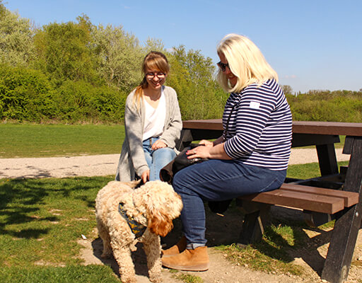 Gedling Country Park