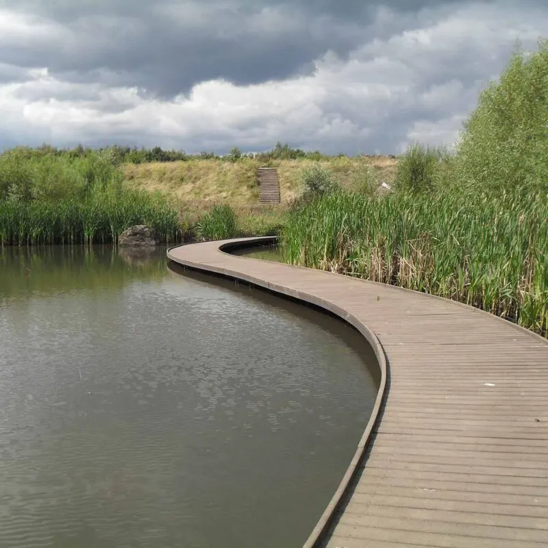 Curved wooden boardwalk winding through reeds beside a calm pond under cloudy skies.