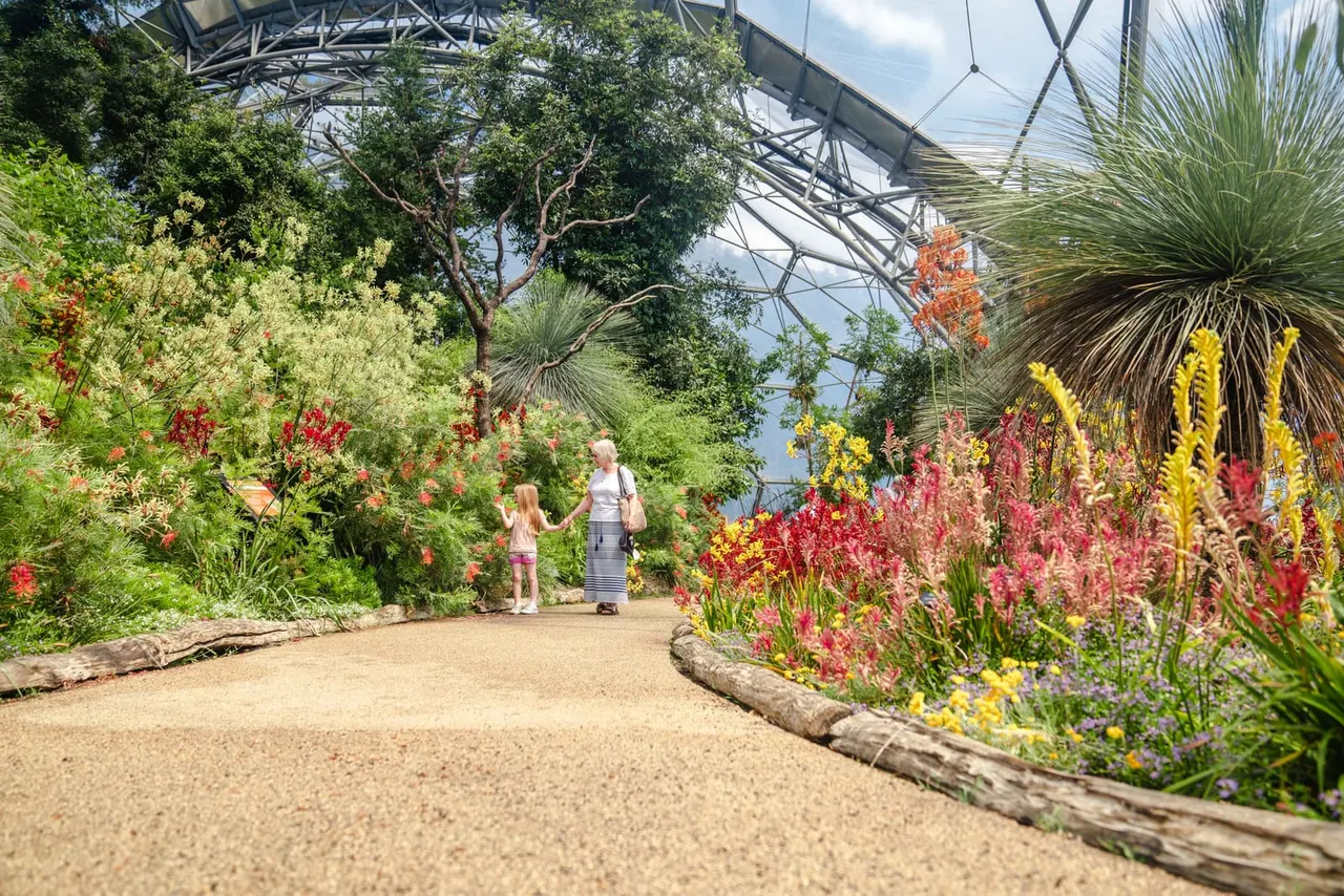 An adult and child walk along a sandy path through a glasshouse surrounded by colourful flowering plants and tropical vegetation.