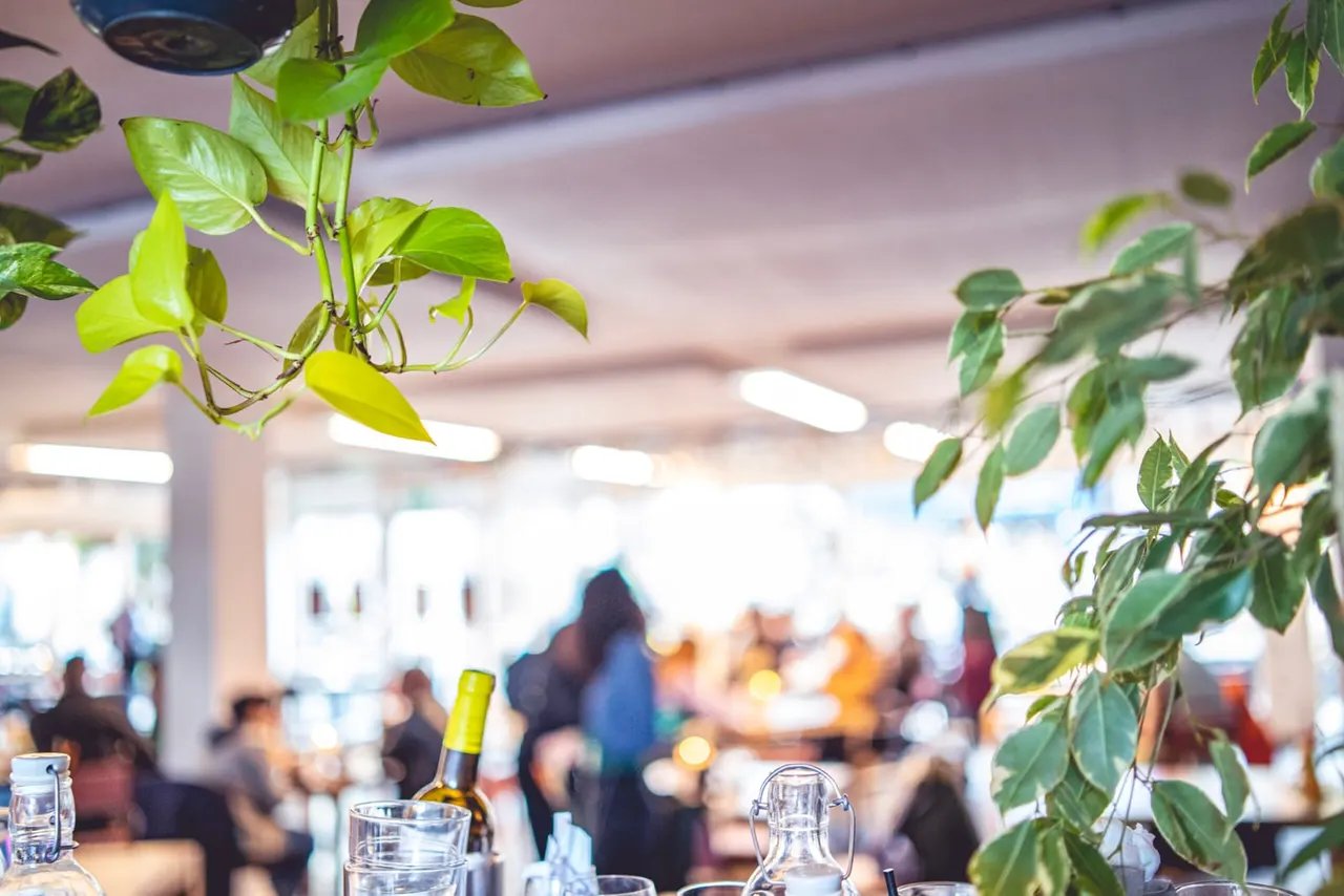 Hanging green foliage frames a busy indoor venue with diners and guests seated at tables below bright ceiling lights.