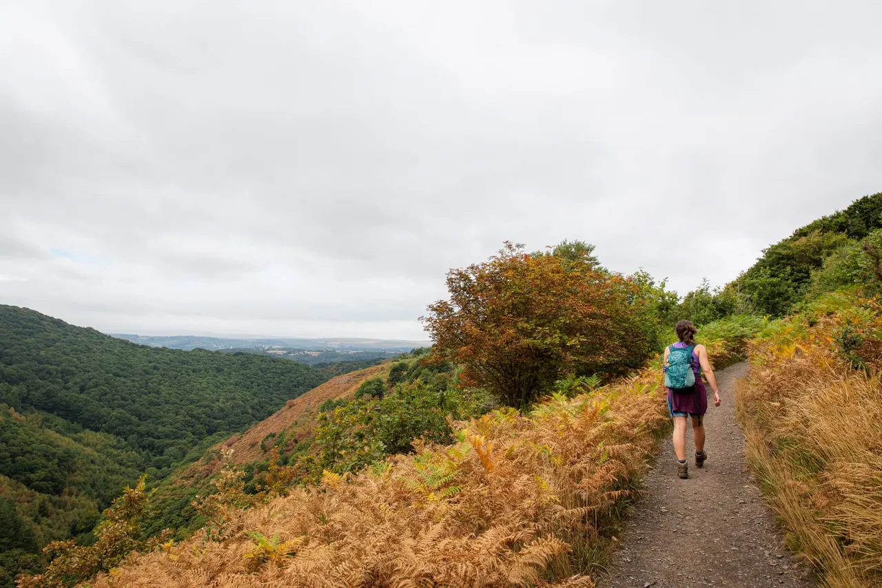 A hiker with a backpack runs along a hillside path with expansive views over forested valleys below.