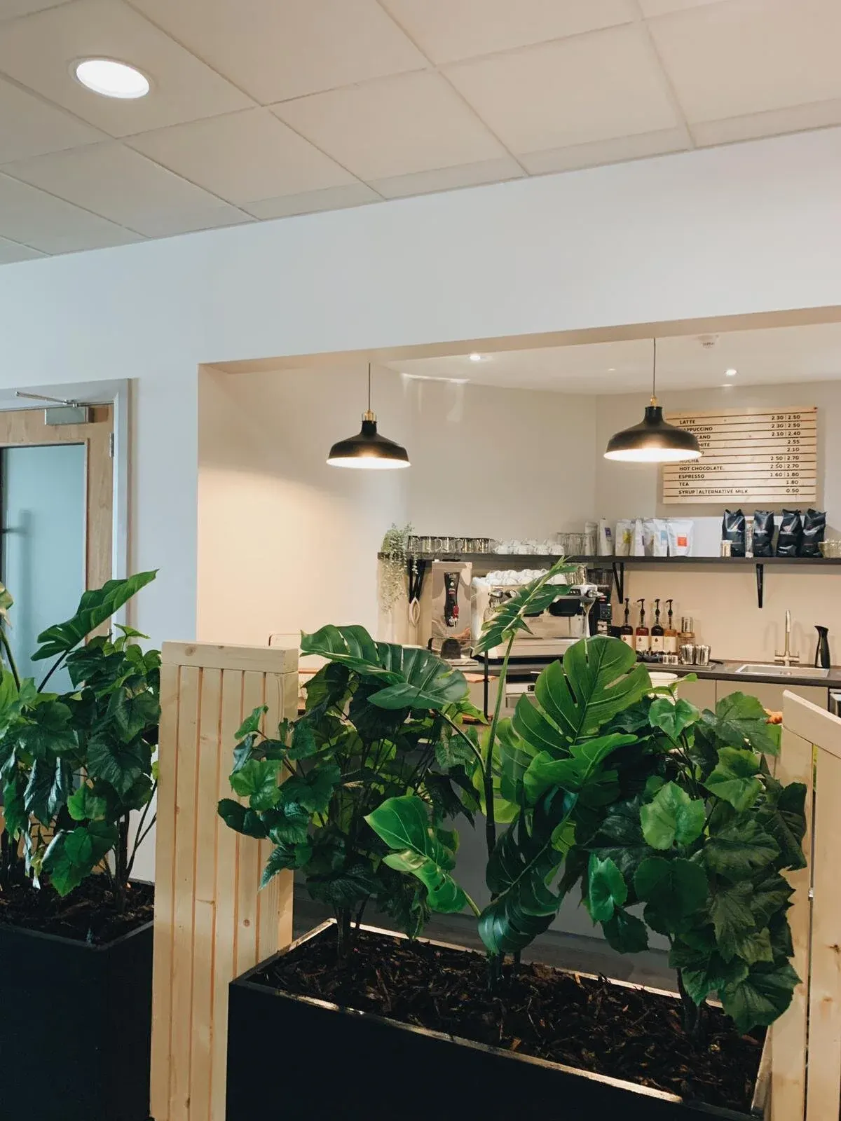 Interior of a modern café with potted plants in foreground, counter with menu board and black pendant lights in background.
