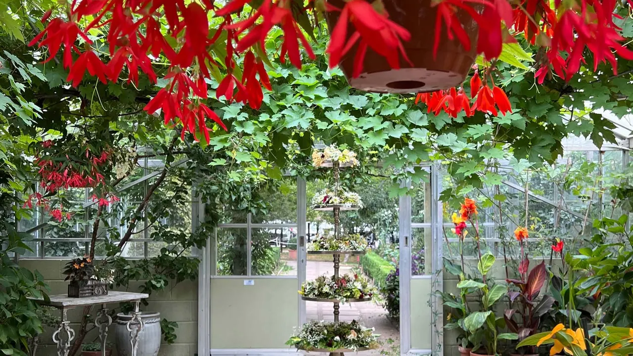 Interior of a glasshouse with hanging red flowers, climbing plants, and potted flowers surrounding glass doors opening to a garden.