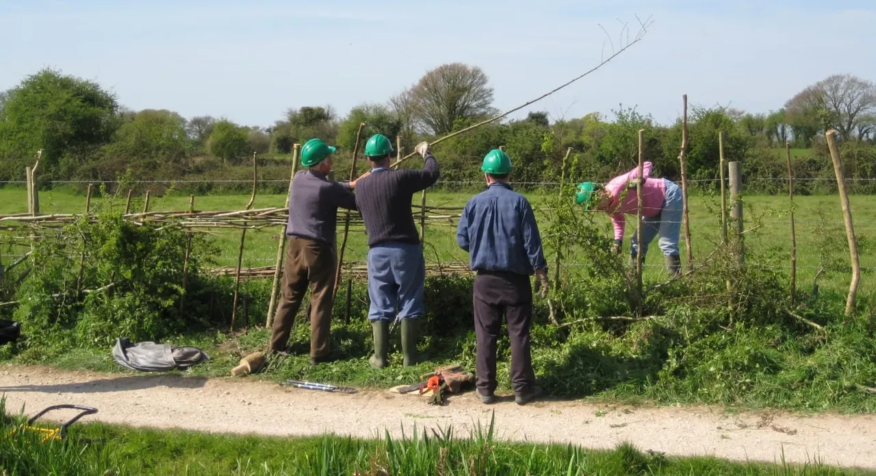 Group of visitors wearing hard hats working on coppicing tasks in a managed woodland area beside the canal.