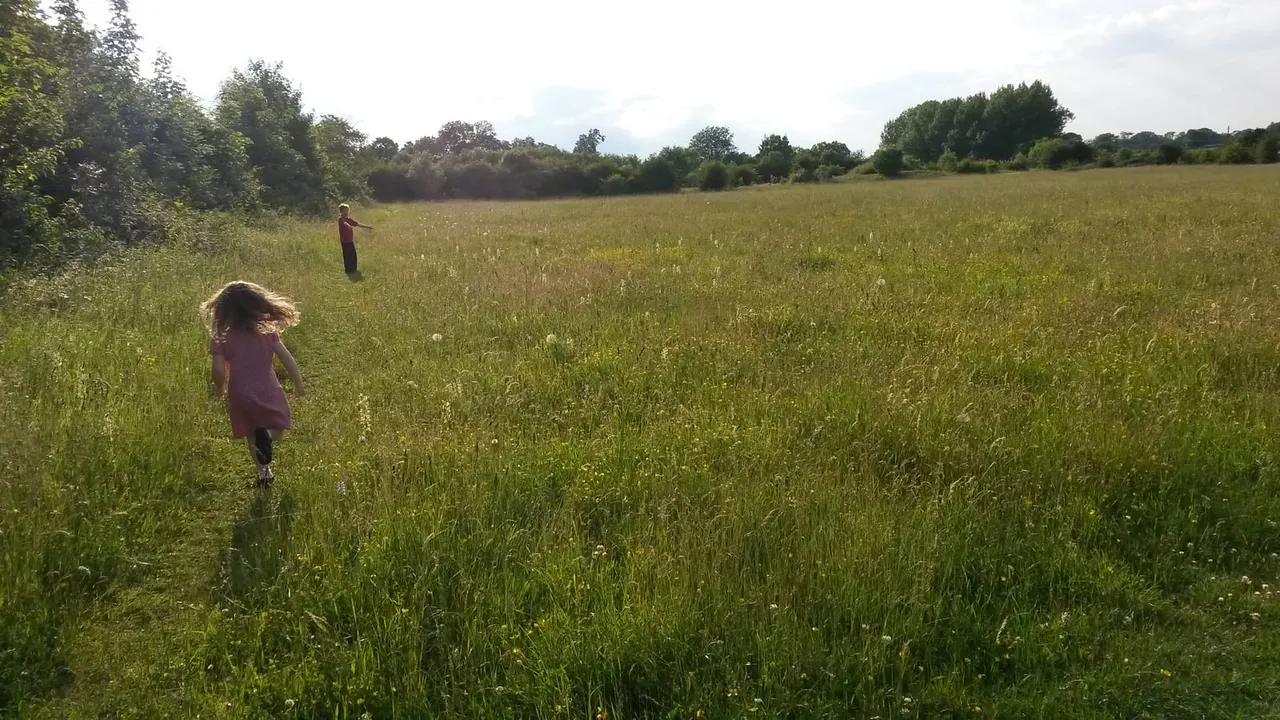 Two children running through a wildflower meadow with trees and woodland in the background.