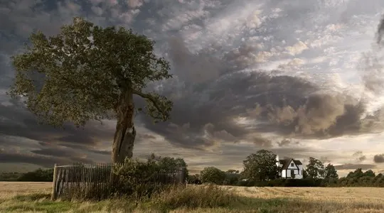 Solitary gnarled tree with wooden fence in open parkland under dramatic cloudy sky, with distant house visible.