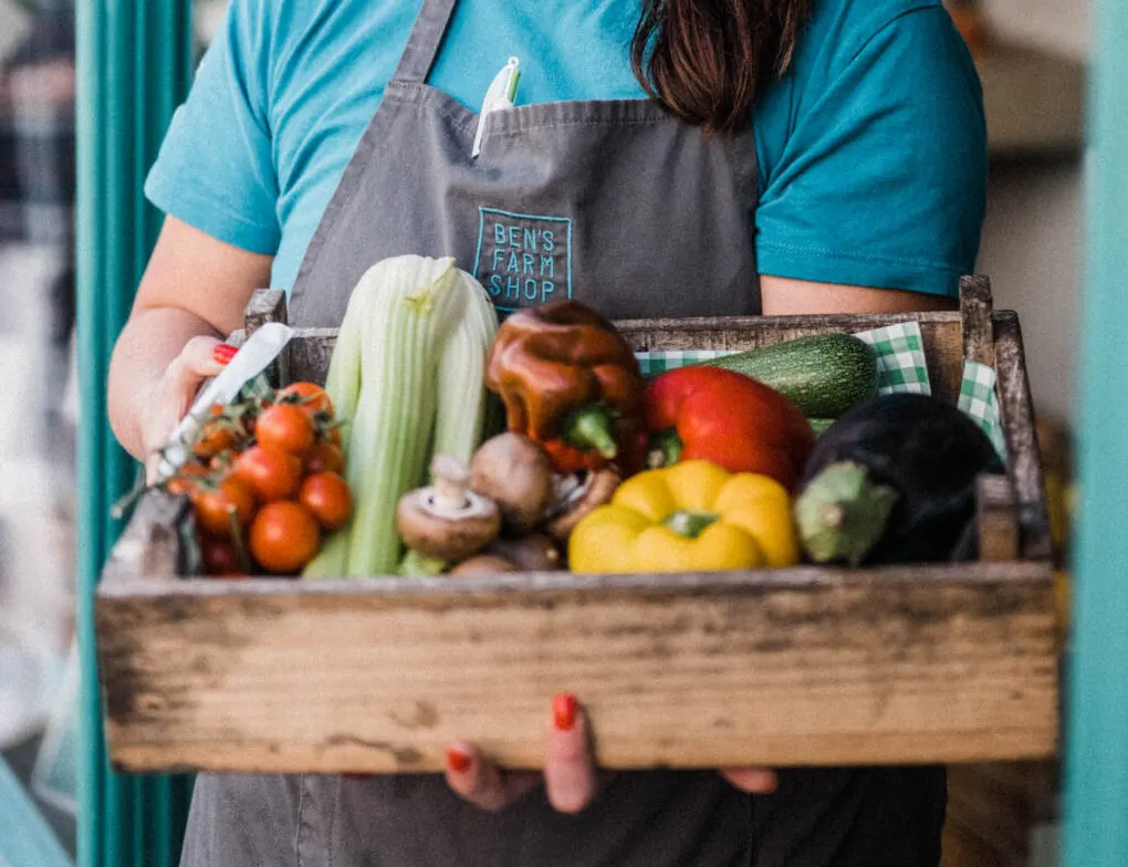 Pick-Your-Own & Pumpkin Patches in Plymouth