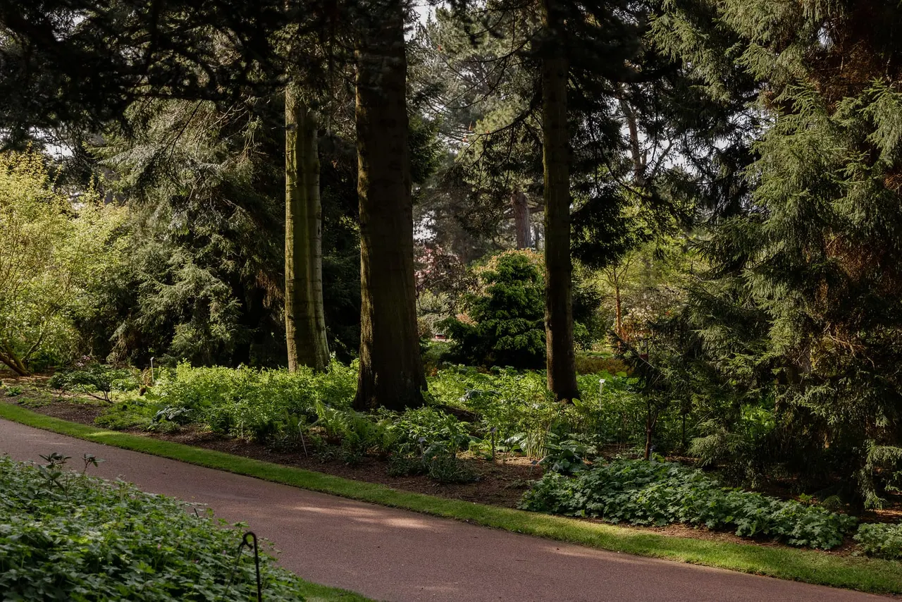 Gardens & Arboretums in Edinburgh