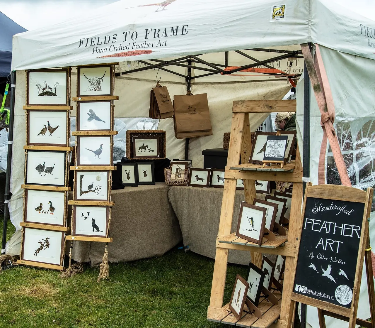 Market stall displaying framed feather art prints of birds and wildlife in wooden frames under a canvas canopy.