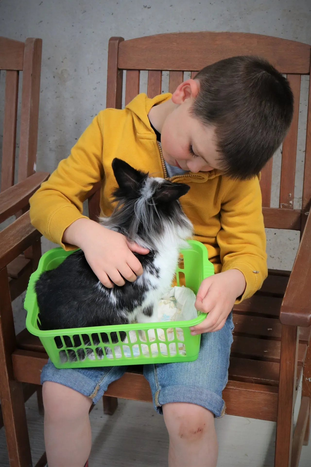 Young child in yellow jacket holding and petting a black and white rabbit in a green basket.