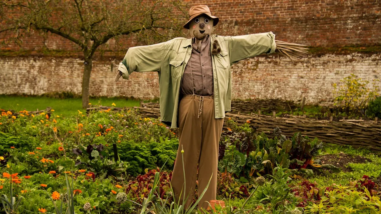 Scarecrow with outstretched arms in a vegetable garden with orange flowers