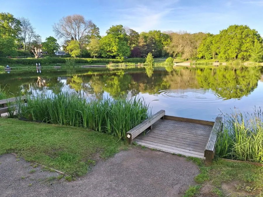 Wooden jetty extending into a calm lake with trees reflected in the water and grassland on the shore.