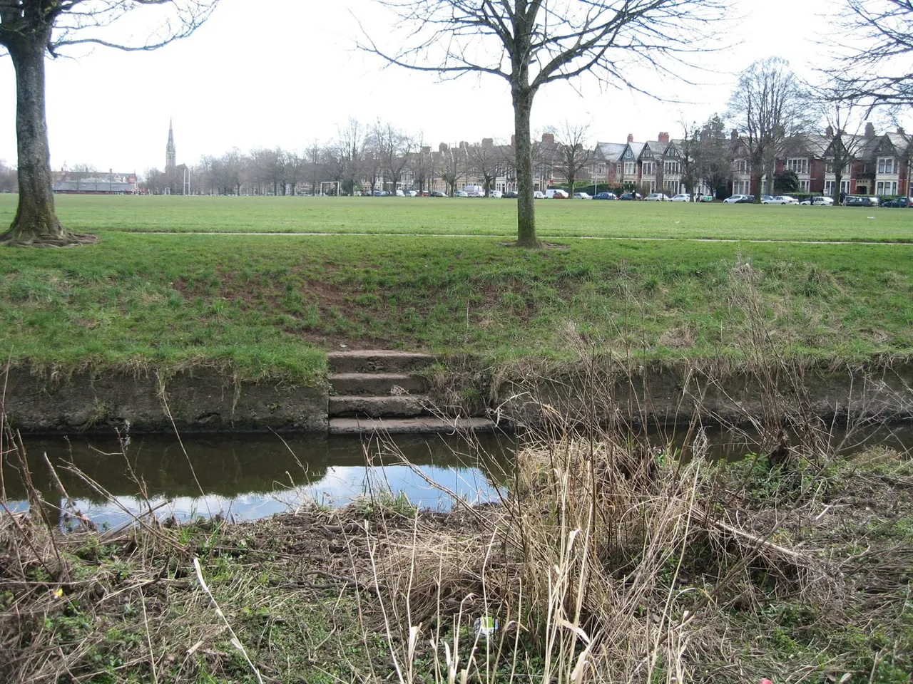 Open green space with a stream, bare trees, and Victorian terraced houses visible across the field.