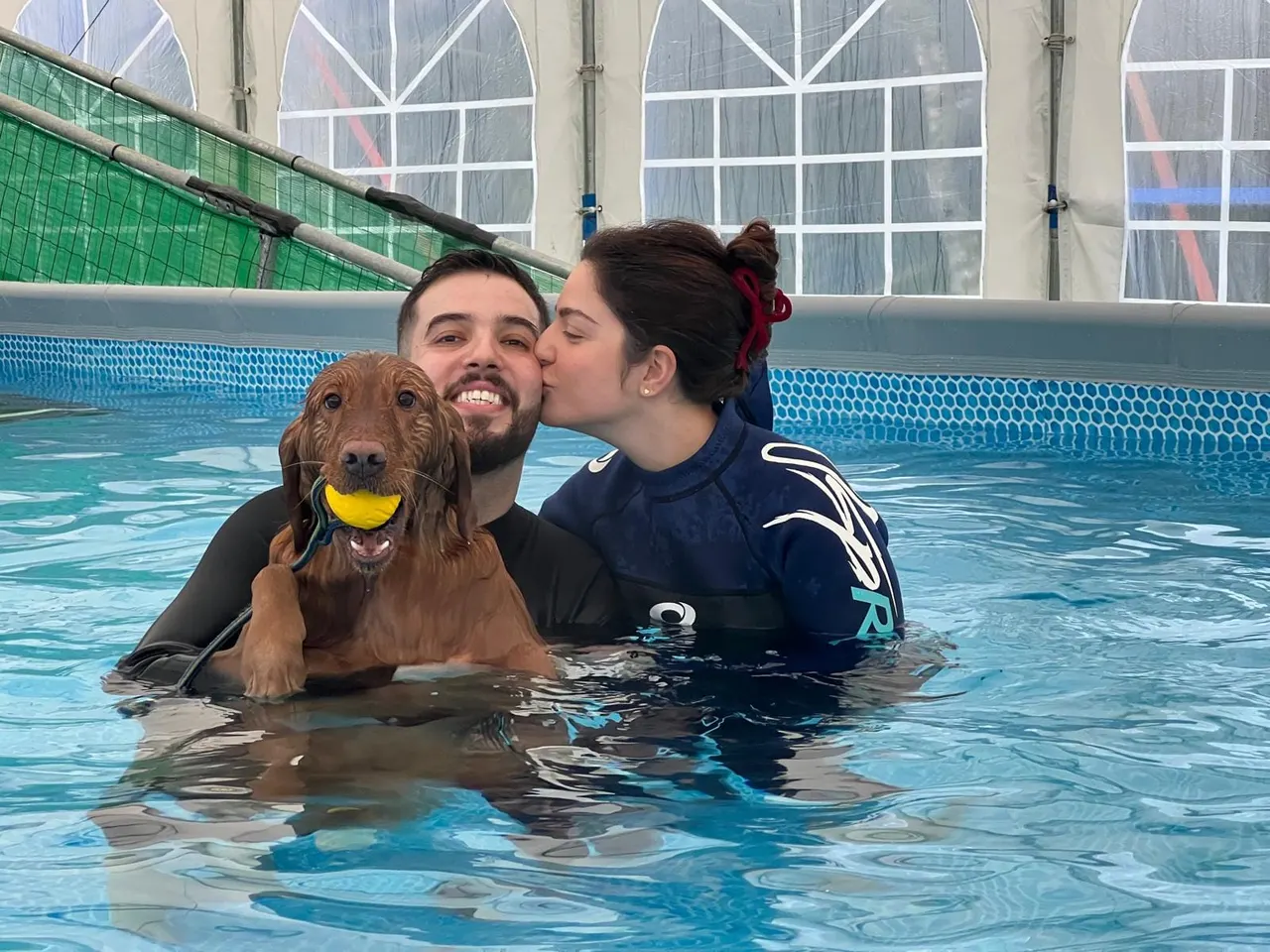Couple and a dog with a yellow ball swimming together in an indoor pool.