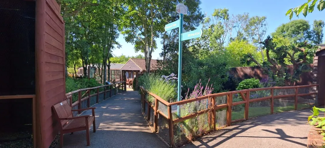 Shaded timber boardwalk with wooden railings winding through gardens past red-brick buildings and tall trees on a sunny day.