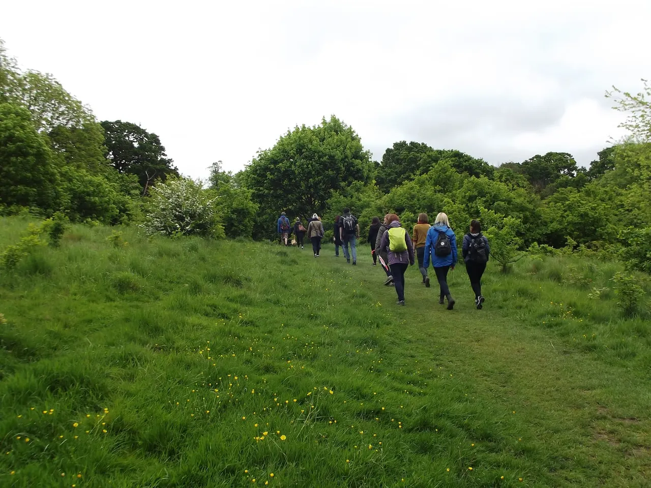 Group of people walking and running across a grassy meadow dotted with yellow flowers, surrounded by trees.