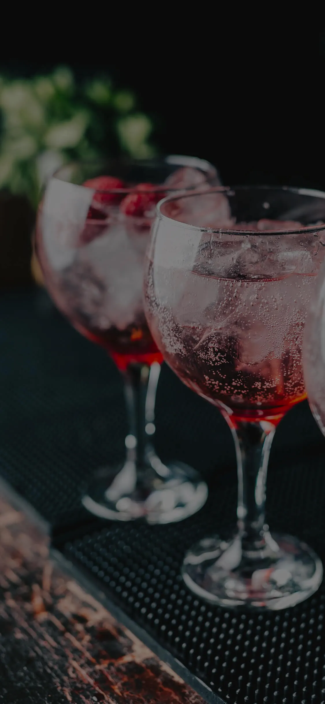 Two glasses of sparkling red cocktails with ice and berries, garnished with dark straws, against a dark background with blurred foliage.
