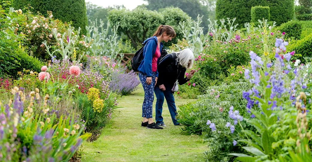 Two visitors walk along a grass path through a colourful garden filled with purple and pink flowering plants and topiary hedges.