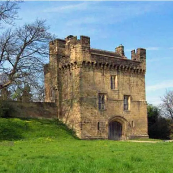 Stone castle with crenellated towers standing on a grassy hillside under blue sky.
